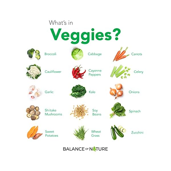 Balance-Of-Nature-Fruit-and-Vegetable-Supplements-90-Fruit-and-90-Veggie-Capsules-Green-and-Red-Superfood-Better-Than-A-Multivitamin-Vegan-No-Fillers-or-Extracts-100-Natural-Whole-Food Balance of Nature Fruits and Veggies - Whole Food Supplement with Superfood Fruits and Vegetables for Women, Men, and Kids - 90 Fruit Capsules, 90 Veggie Capsules - 1 Set