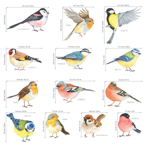 DECOWALL DS2-8038 Little Birds Wall Art Stickers Colourful Flying British Birds Wall Decals Removable Garden Decorations Poster Bedroom Kitchen Living Room (Small)