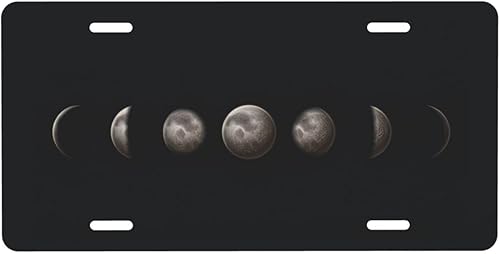 Meikosks Placa de matrícula metálica para automóvil, bandera estadounidense, alas de águila decorativa, placa de tocador, placa de aluminio Noverlty