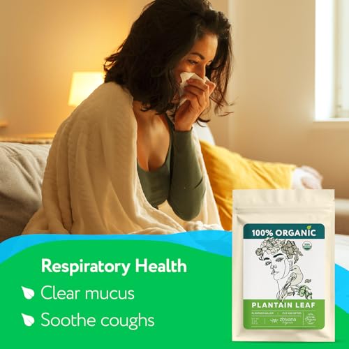 Plantain Leaf Organic (4 oz.) – Broadleaf Plantain Tea Loose Leaf (Plantago Major) – Llanten Planta Medicinal - Herbal Tea for Digestion, Respiratory Health & Detox