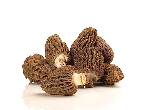 Bulgar Herbs Pure European Morel (Morchella Esculenta) Mushroom Powder thumb #2
