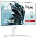 iiyama G-Master Red Eagle GB2470HSU-W5