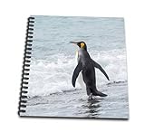 8 x 8 inches spiral bound glossy hard covered 9/16 inch twin loop wire binding spine 50 unlined pages, 8 x 7.75 inches - page thickness is 80lb text Acid free blank bright white non-coated paper Pages lay flat when book is opened