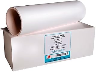 Whatman 10402506 Protran BA85 Nitrocellulose Blotting Membrane, Circle, 0.45µm Pore Size, 25mm Diameter (Pack of 100)