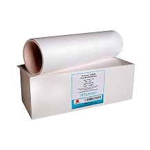 Cytiva 10402578 Protran BA85 Nitrocellulose Blotting Membrane, Circle, 0.45m Pore Size, 25mm Diameter Pack of 1000