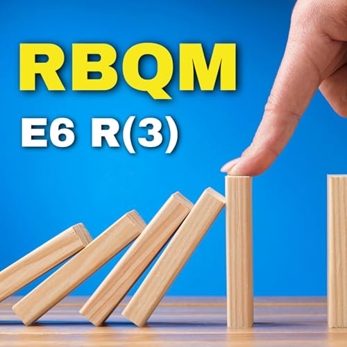 Risk Based Quality Management (RBQM) | ICH GCP E6R(3) Amendment