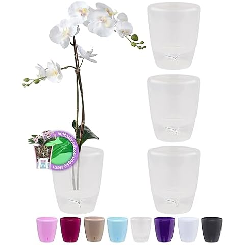 Pots à Orchidée Santino ORCHIDEA Cover