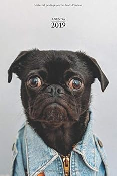 Agenda 2019 : Agenda Janvier ? d?cembre 2019, Semainier Simple and Graphique, Illustration Chien Amusant