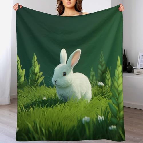 Couverture de canapé chaude en flanelle de qualité supérieure 180x200