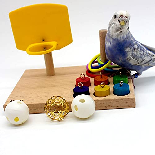 QBLEEV Bird Toys - Budgie & Parrot Training Toys, Color Ring Sets, Chew Ball & Play Gym - Thumbnail 4