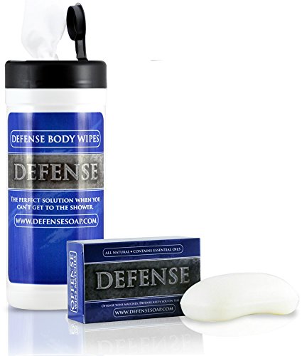 DEFENSE Ringworm Treatment Kit - Bar Soap 4 Oz and Body Wipes 40 Count