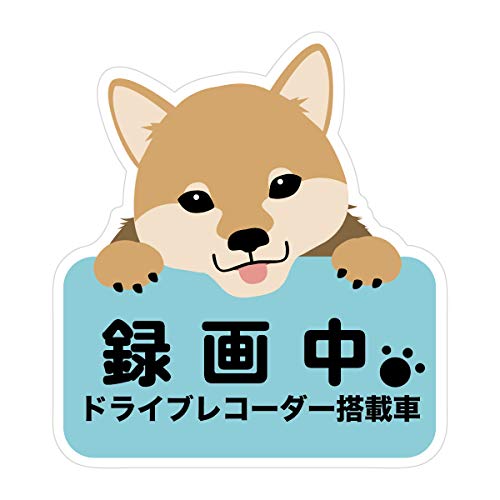 Biijo hCuR[_[ hEϔM XebJ[ V[ hCuR[_[V[ hCuR[_[XebJ[^]΍  (A.Č)