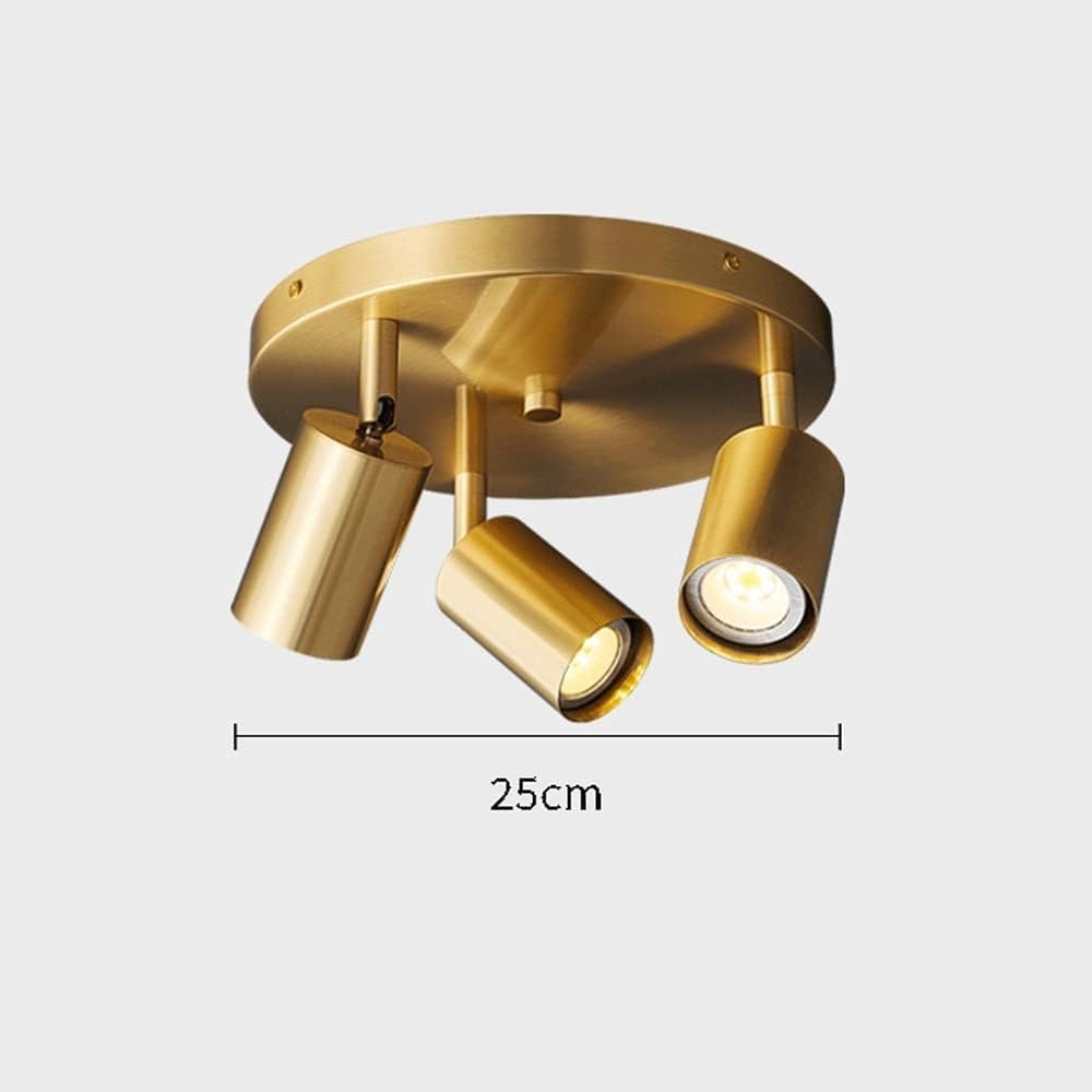 Light Luxury Modern Industrial Style H65 Brass Ceiling Light, 3 Color Dimming Flush Mount Light Fixture, Adjustable Multi Head GU10 Ceiling Lamp With , Hallway Entryway Closet Accent Lighting(3 heads)