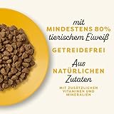 Applaws Pet food, Kätzchen, Huhn, 400 g (1er Pack)