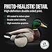 TCDesignerProducts Active Mallard Flat Silhouette Decoys,18-Pack Realistic Duck Hunting Decoys, Male & Female Poses for Marshes, Youth Programs, Landowners, Educators & Waterfowl Events