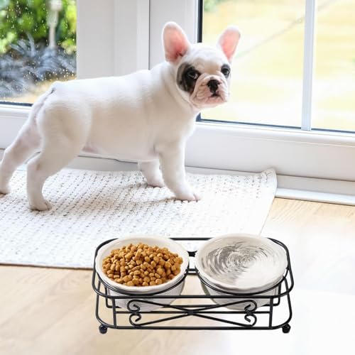 Gamelle lavable pour chien mangeoire lente réutilisable avec support