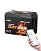 Litime 12V 320Ah Mini Lithium LiFePO4 RV Battery with Bluetooth, Max 15000 Deep Cycles Battery, 4096Wh Energy Perfect for Camper, Trailer, Van, Truck, Solar, Marine.