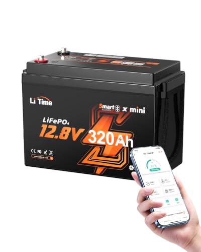 LiTime 320Ah Mini