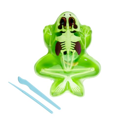 Rana para diseccionar Simba Scout Dissect-It de 16 cm con esqueleto para niños de 5 años