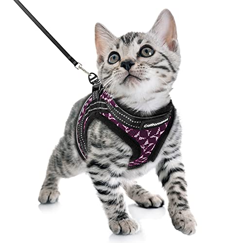 CatRomance Kätzchen-Geschirr und Leine Cover