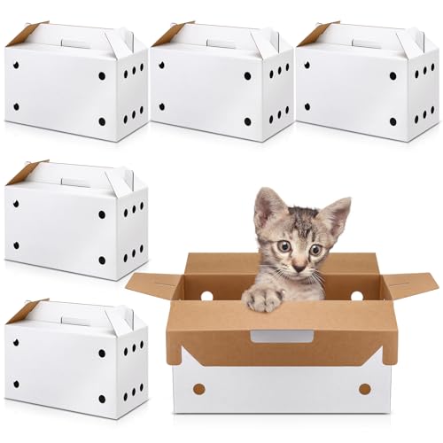 Gilprop 6 Pack Cardboard Pet Carrier 17.5 x 8.66 x 12.2 Inches Small Animal White Puppy Cat Pet Transport Carrier Cardboard Box for Chicken Hamsters Gerbils Birds Travel Box
