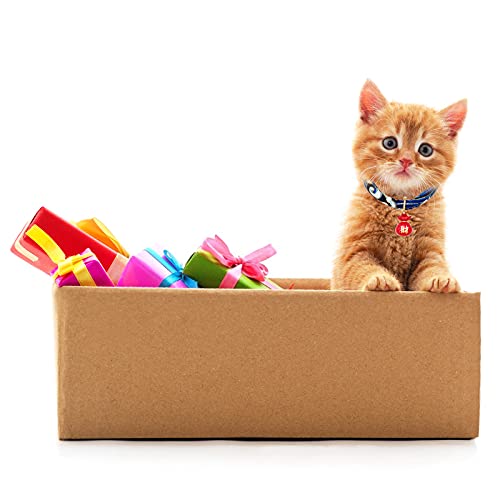 Collier chat bleu réglable : ne perdez plus votre chat dans la maison - 5