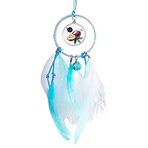DIYthinker Passion Fruit Tasty Healthy Watercolor Dream Catcher Wind Chime Car Hanging Pendant