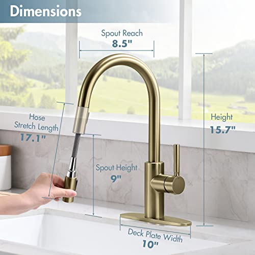 Gold Kitchen Sink Faucet With Pull Down Sprayer Ouen Brass Structure Single Handle Modern Kitchen Faucet With Stainless Steel Pull Out Sprayer 1 Or 3 Hole Mounted With Deckplate For Rv Laundry Sink #TOP6