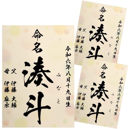  ʕ ѕM Ƃ̑ccɂ AV[gt I[_[  j̎qp ̎qp  A4 ~l[g N   ڏȗ (3)