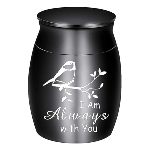 Uqezagpa AΑكWG[ ybgΑWG[ D NGCeBuȃybgΑWG[ ي