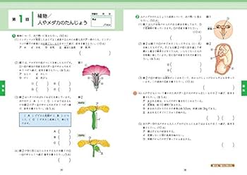 サピックス5年生用　2021年度 サピックス 5年生 算数フルセット 2021年度版 - メルカリ