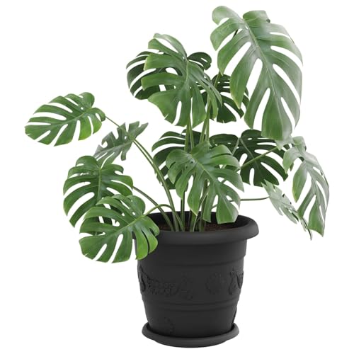 Pots de plantes pour balcon et jardin aménagement extérieur