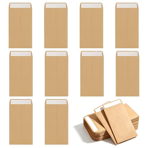 55PCS Small Brown Envelopes 100x60mm Seed Envelopes
