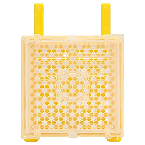 Fdit1 Apicoltura Kit Completo di Apicoltura per