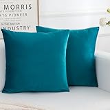 HERAYLI Velvet Decorative Throw Pillow Covers, Soft Square Cushion Case Home Decor for Living Room Couch Bed Sofa, Set of 2 Pack, Teal, 18x18 Inch