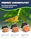 Hobby Garnelenpyramide, 4-3-2-1 rot
