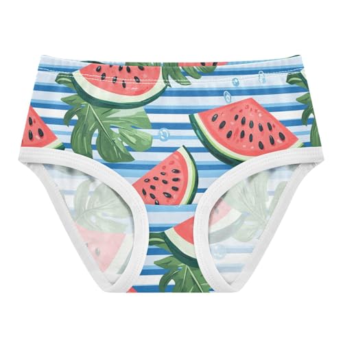 Wusikd Watermelon Girls' Underwear Cotton Leaves Girls Briefs Soft Toddler Underwear 2T