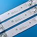 PANMILED 6 Pieces LED Backlight Strips for TCL 65'' TV JL.D65081330-365AS-M_V03 65D6 65S421 65S423 65S425 65HR330M08A1