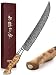 HEZHEN Master Series 25,6 cm cuchillo de talla forjado 67 capas acero damasco afilado Figaro sicómoro mango de madera caja de regalo