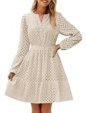 ZESICA Women's 2025 Long Sleeve Mini Dress Fall V Neck Hollow Out Eyelet Embroidery Ruffle A Line Swing Short Dresses,Apricot,X-Large
