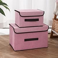 Amazon.co.jp: [CIANAP] ボックス パープル 38*25*25cm*2 収納 フタ