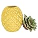 VINTORKY Pineapple Tea Handmade Containers & Storage Flour and Sugar Containers Airtight Pantry Organization Coffee Bean Jar Cookie Storage Jar Cookie Jar Ceramics Travel Tea Set
