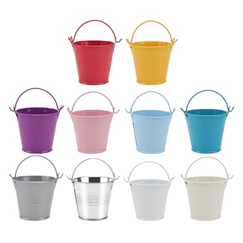 Toyvian 10 Macetas de Hierro Estilo Retro Rústico, Tamaño Pequeño, (, Lago, Brillante), Cubo para Plantar Flores y Decoración del Hogar, Jardineras Prácticas para Oficina