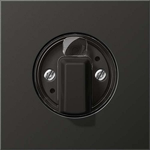 JUNG AL1941AN cache pour interrupteur rotatif en aluminium