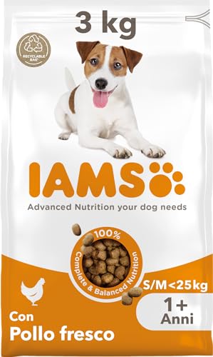 IAMS cibo secco per cani con pollo - Cibo secco per cani adulti a partire da 1 anno di età, adatto a cani di piccola e media taglia, 3 kg