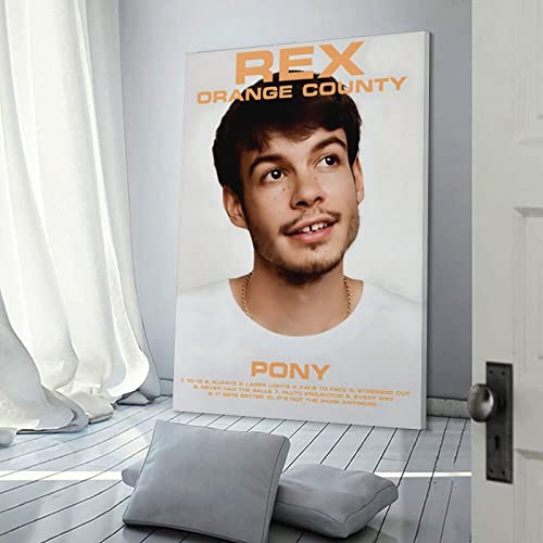 Impression sur toile Rex Orange County Pony 50x75 cm poster chambre - 3