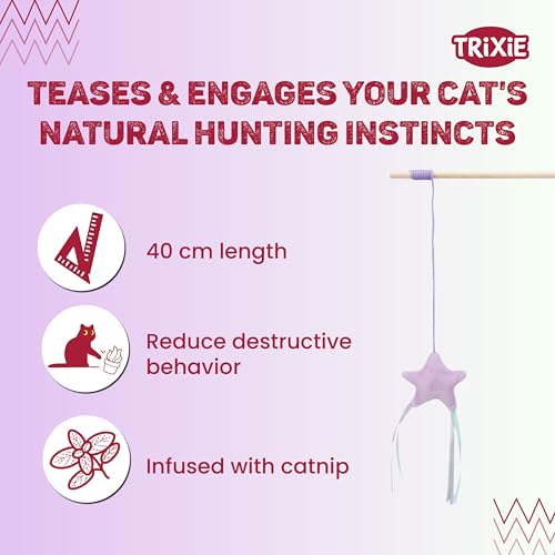 Image of TRIXIE Cat Fishing Rod Toy (Junior Playing Rod with Star)