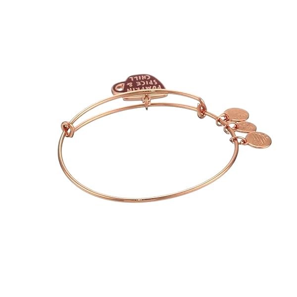 Alex-and-Ani-Color-Infusion-Pumpkin-Spice-and-Chill-Charm-Bangle Alex and Ani Women's Color Infusion Pumpkin Spice and Chill Charm Bangle, Shiny Rose Gold