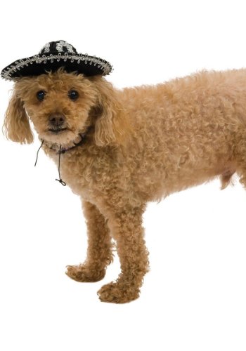 Sombrero Mini para Mascotas Rubies, Talla M