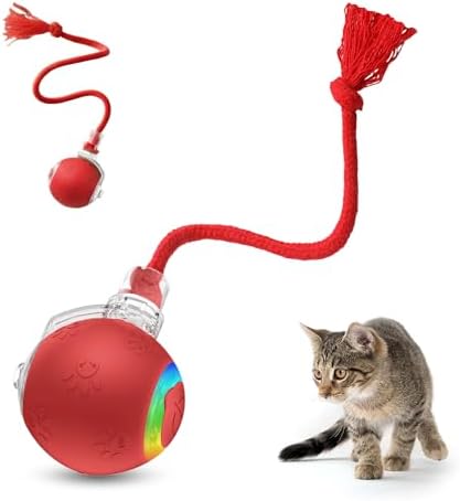 Interactive Cat Toys for Indoor Cats,Flying Bird Cat Kitten Toy,M...